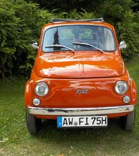 Oldtimer im Park 027